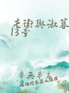 老卫与淑蓉小说13章