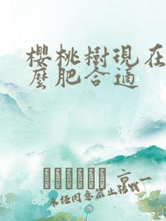樱桃树现在施什么肥合适