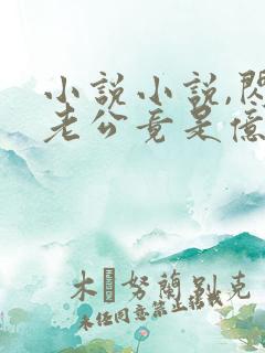 小说小说,闪婚老公竟是亿万总裁