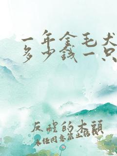 一年金毛犬价格多少钱一只