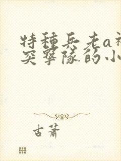 特种兵老a神罚突击队的小说