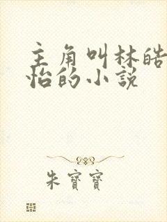主角叫林皓李静怡的小说