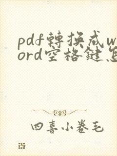 pdf转换成word空格键怎么去掉