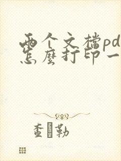 两个文档pdf怎么打印一张