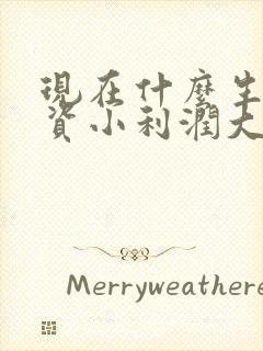现在什么生意投资小利润大