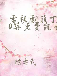 电视剧薛丁山40集免费观看