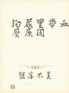 狗尿里带血是什么原因