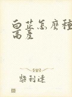 白芷怎么种植能高产