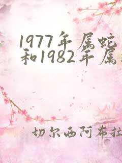 1977年属蛇和1982年属狗合财吗
