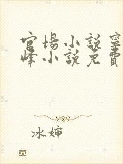 官场小说宁欣林峰小说免费阅读