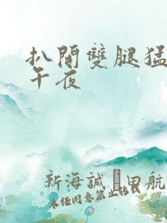 扒开双腿猛进入午夜