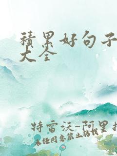 积累好句子摘抄大全