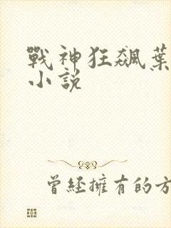 战神狂飙叶无缺小说