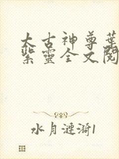 太古神尊叶风叶紫灵全文阅读