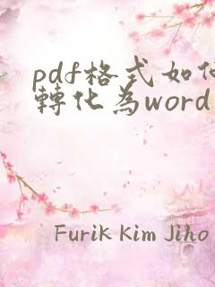 pdf格式如何转化为word文档