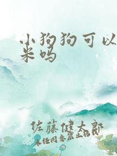 小狗狗可以吃玉米吗