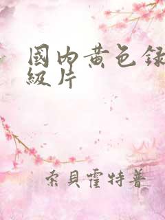 国内黄色录像一级片