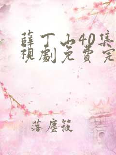 薛丁山40集电视剧免费完整版