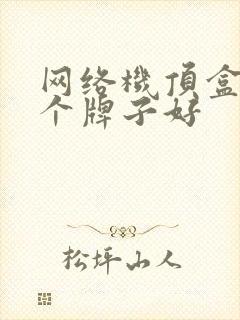 网络机顶盒买哪个牌子好