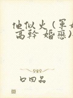 他似火 (军婚 高干 婚恋)全文免费阅读