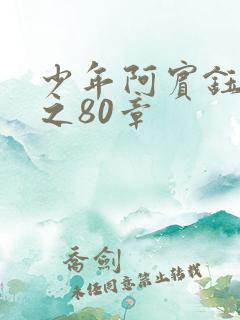 少年阿宾钰慧篇之80章