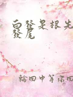 白发是根先白还发尾