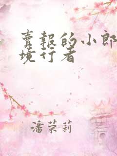 卖报的小郎君灵境行者