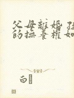 父母离婚 孩子的抚养权如何判