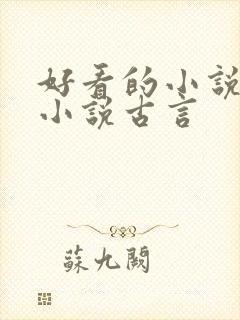 好看的小说言情小说古言