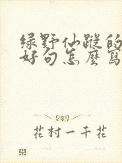 绿野仙踪的好词好句怎么写