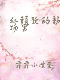 红头发的动漫人物男