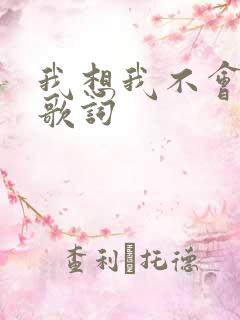 我想我不会爱你歌词