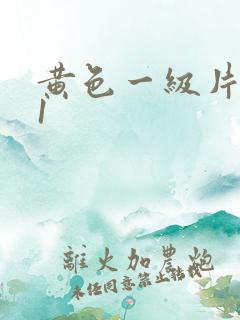 黄色一级片511