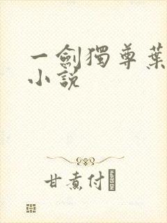 一剑独尊叶玄的小说