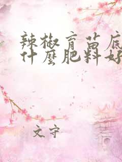 辣椒育苗底肥用什么肥料好