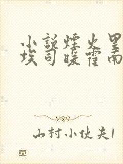 小说烟火里的尘埃司暖霍南予全文免费阅读
