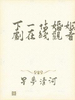 下一站婚姻电视剧在线观看完整版免费