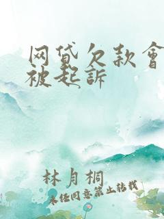 网贷欠款会不会被起诉