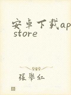 安卓下载app store