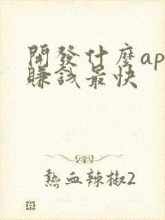 开发什么app赚钱最快