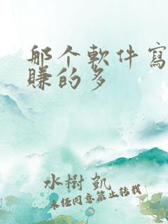 那个软件写小说赚的多