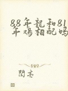 88年龙和81年鸡相配吗