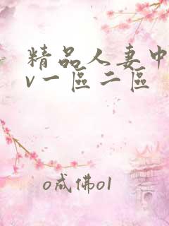 精品人妻中文av一区二区