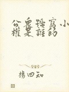 公众号写小说版权是谁的