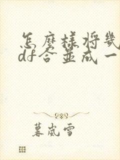 怎么样将几个pdf合并成一个压缩文件