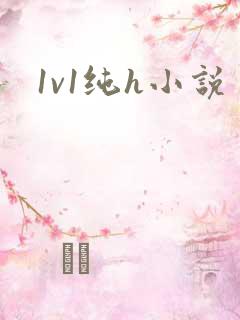 1v1纯h小说