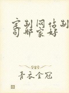 定制网站制作公司哪家好