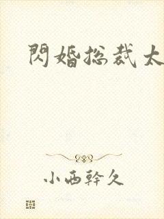闪婚总裁太会撩