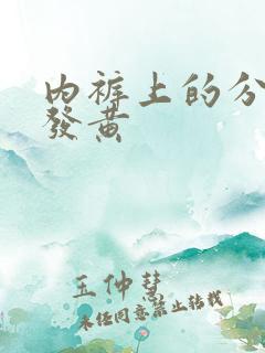 内裤上的分泌物发黄