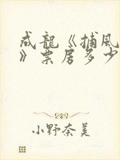 成龙《捕风追影》票房多少